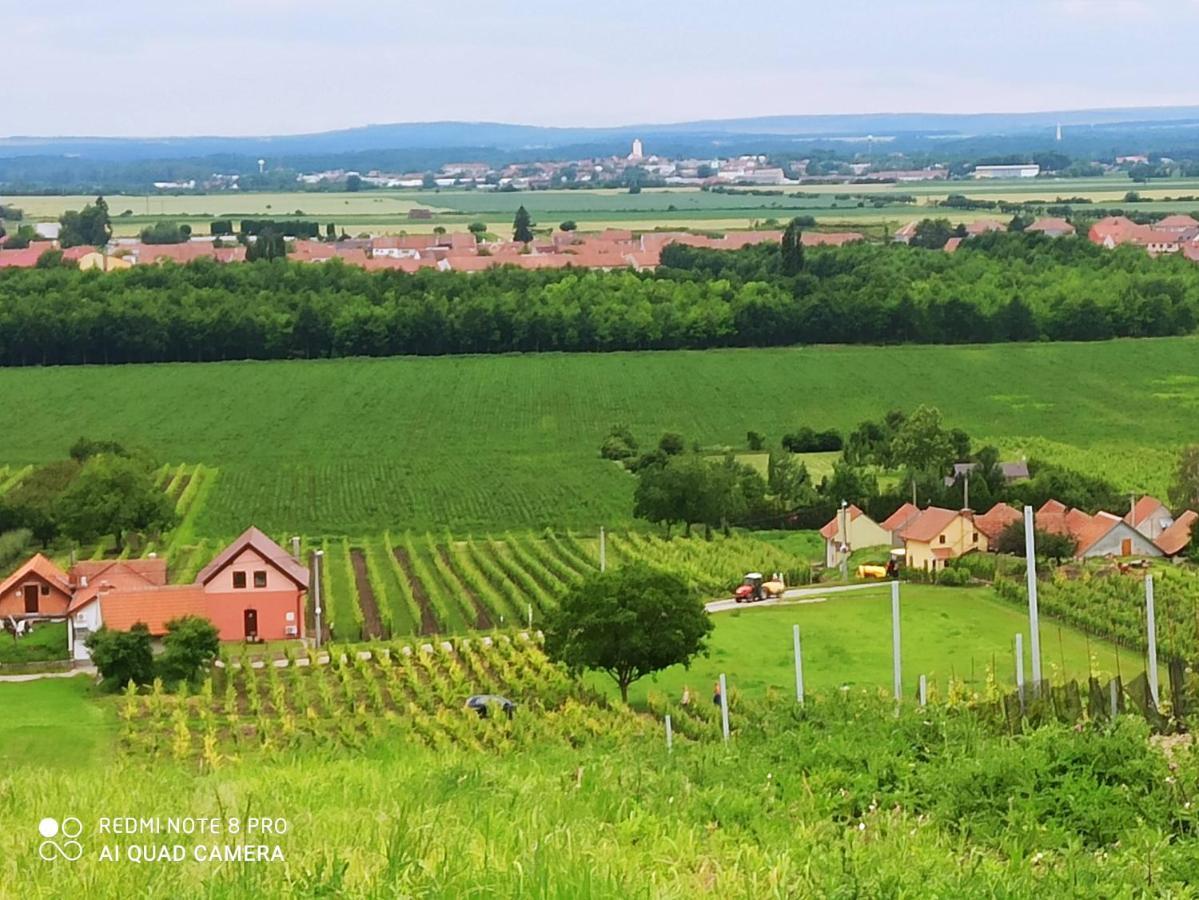 Sklipek U Svobodu Guest House Velke Bilovice Exterior photo
